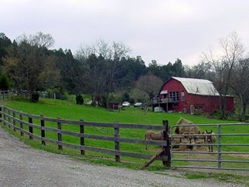 Jayden's childhood farm